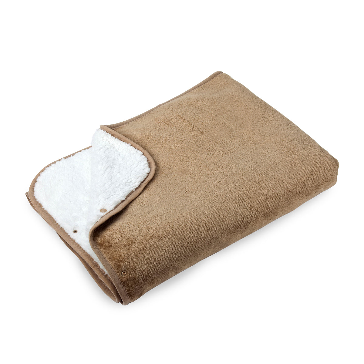 כרבולית שיכמיה