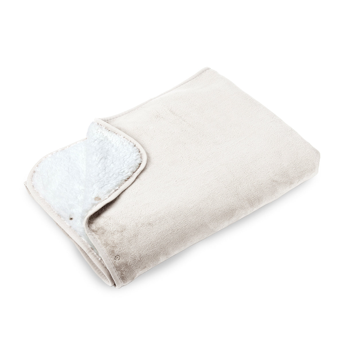 כרבולית שיכמיה