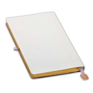 מחברת A5, לשמור על איכות הסביבה – אפלטון