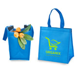 תיק צידנית 8 ליטר ממותג