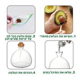 מעמד זכוכית לגידול גלעין אבוקדו – Vivo