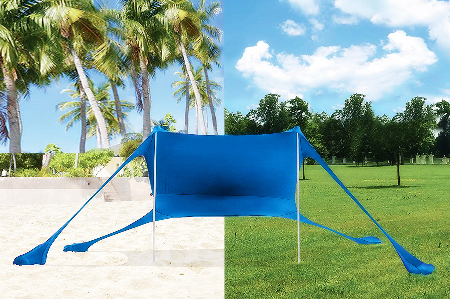 צייליה כחולה לים