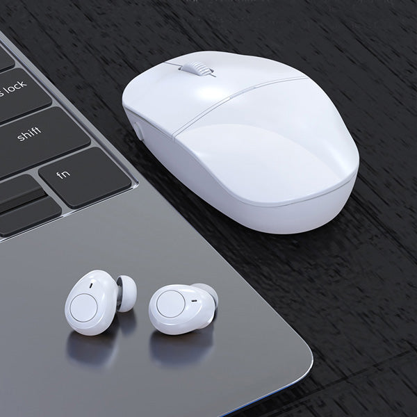 עכבר בלוטוס