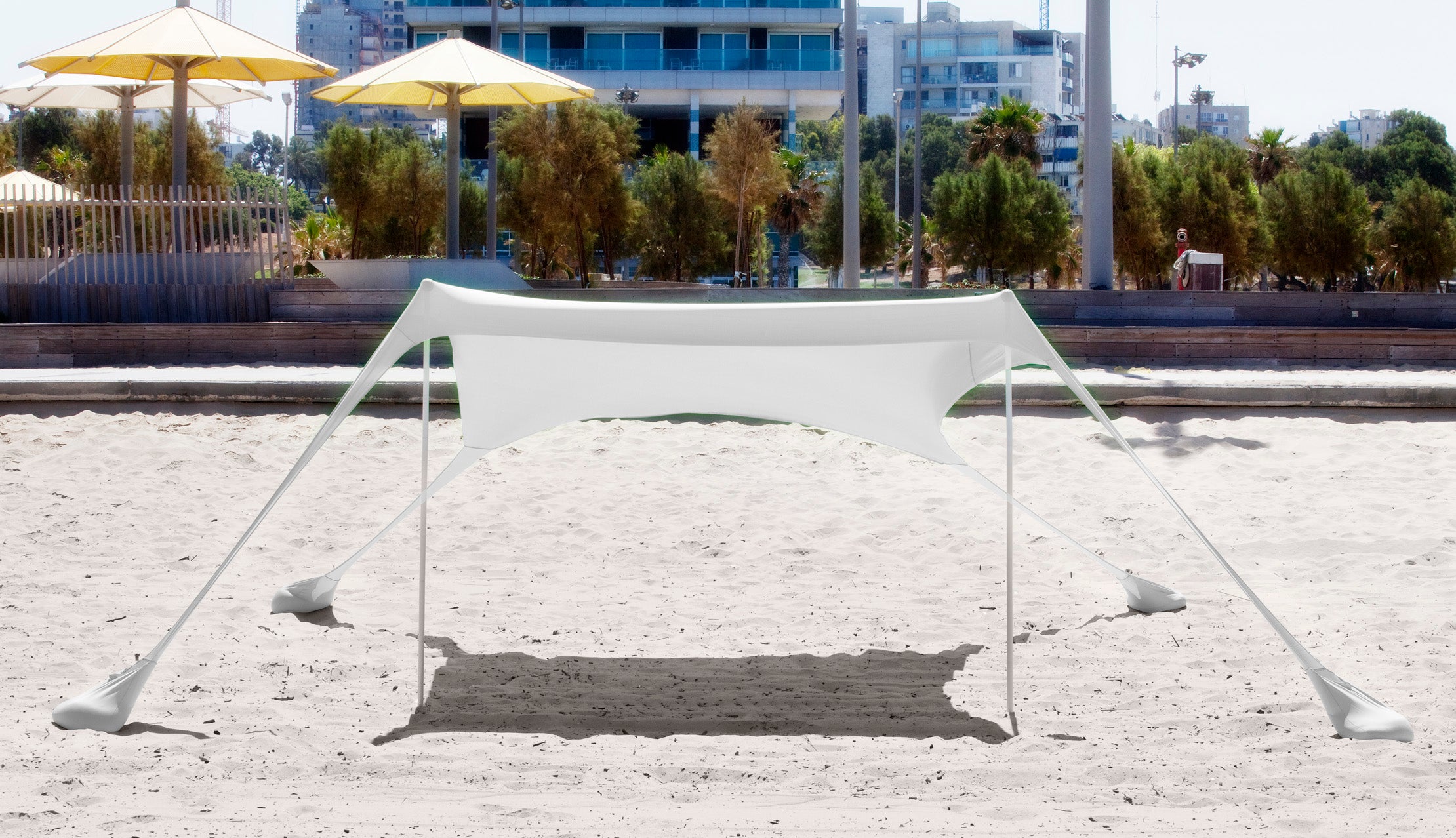 ציילית חוף זוגית