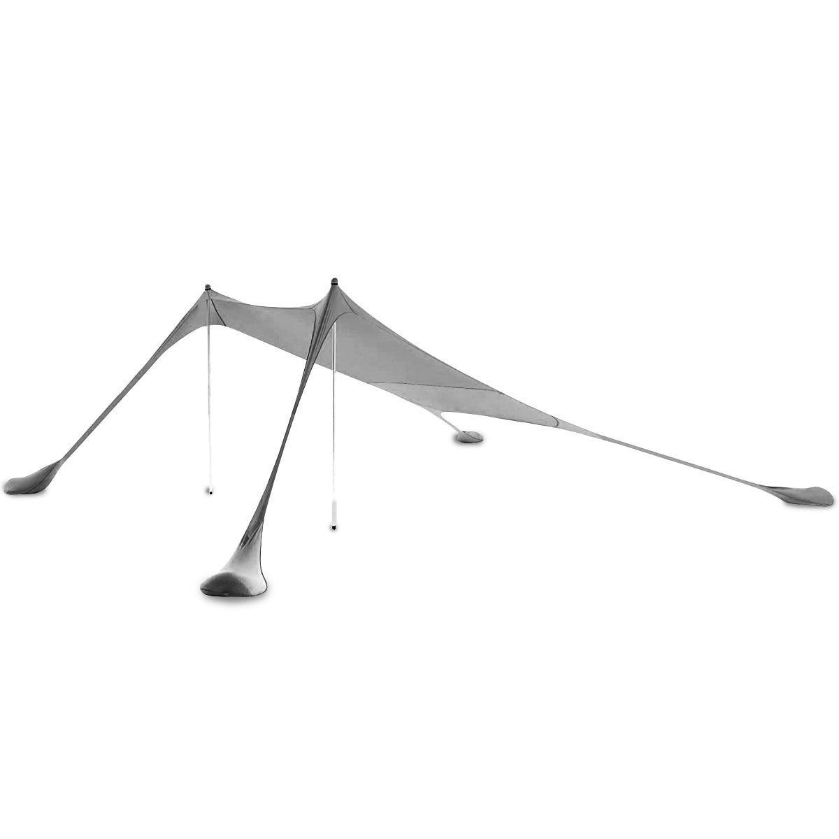 ציליית ים גדולה