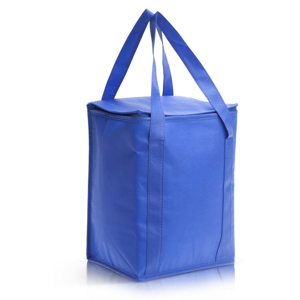 צידנית אלבד מרובעת - צידנית המשמשת גם כתיק קניות 14 ליטר