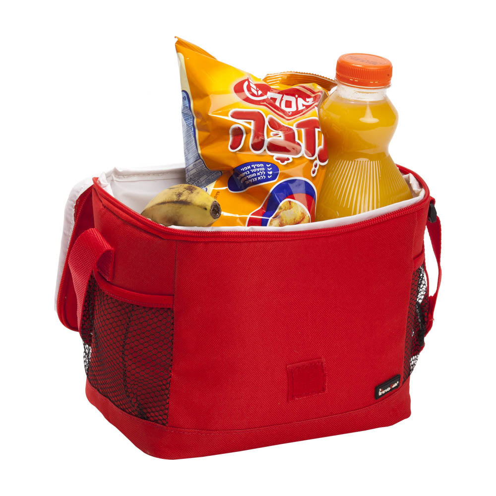 פריזי - צידנית סובלימציה 4 ליטר