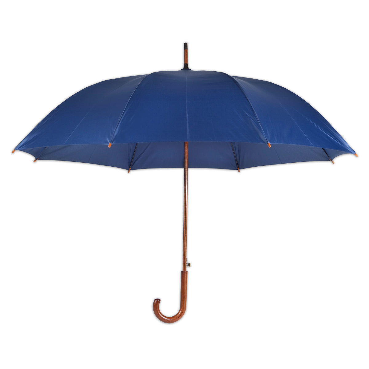 מטריה מעץ כחולה